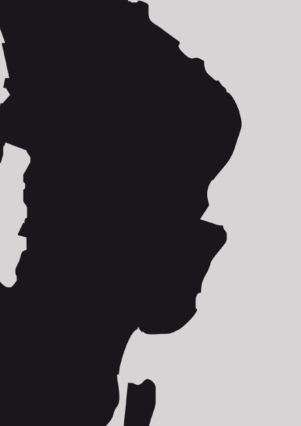 550x1400px__SOMOS_PEIXINHO__Gala_Solid_ria_c_pia