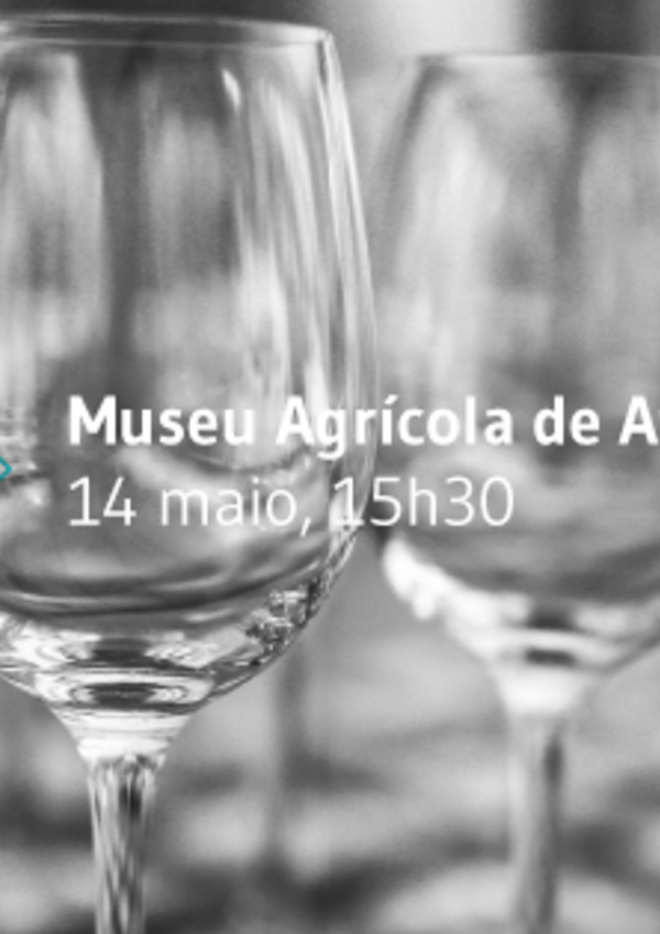 Cover_curso-de-vinhos