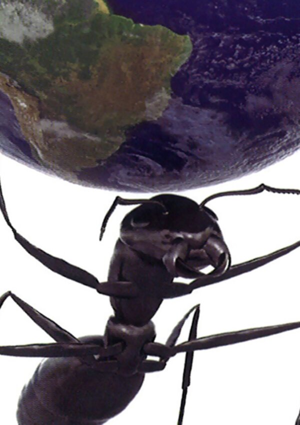 Exposicao_Um_Mundo_de_Insetos