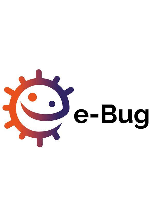 projeto_e_bug_600x849
