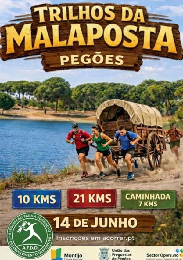 69e6104b4e556_cartaz_cartaz_460