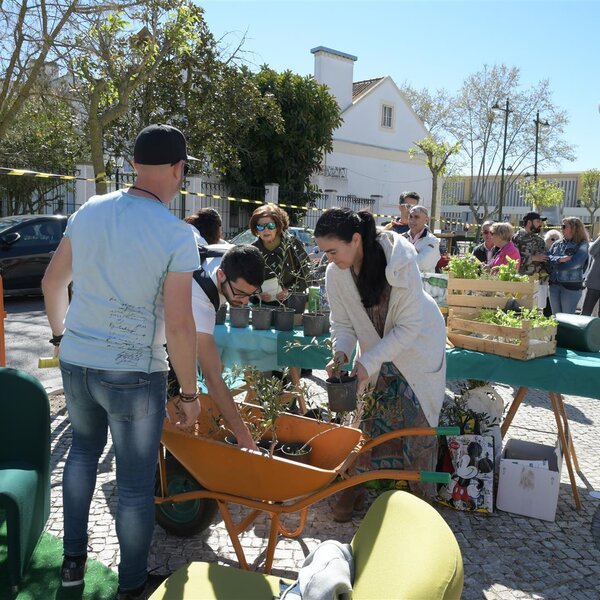 Semana Verde 2019 | Entrega de Oliveiras e Atelier Didático sobre Hortas 