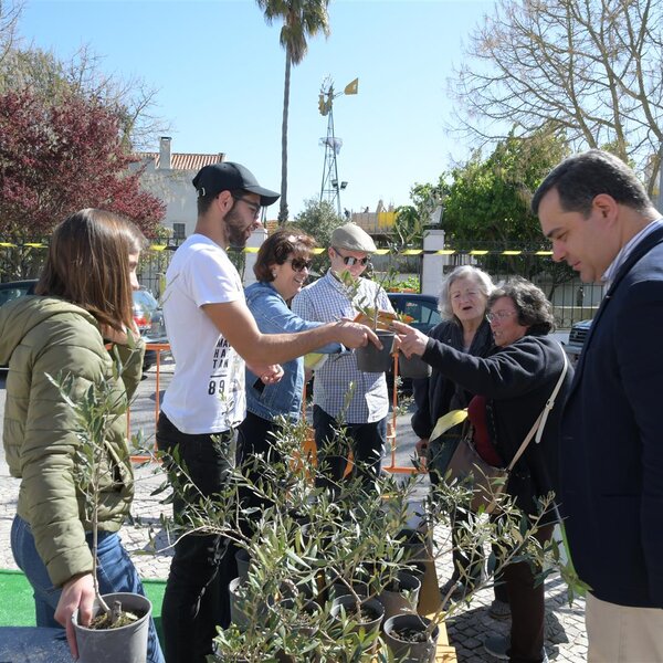 Semana Verde 2019 | Entrega de Oliveiras e Atelier Didático sobre Hortas