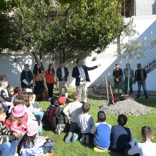 Semana Verde 2019 | Plantação de Oliveiras