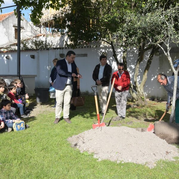 Semana Verde 2019 | Plantação de Oliveiras