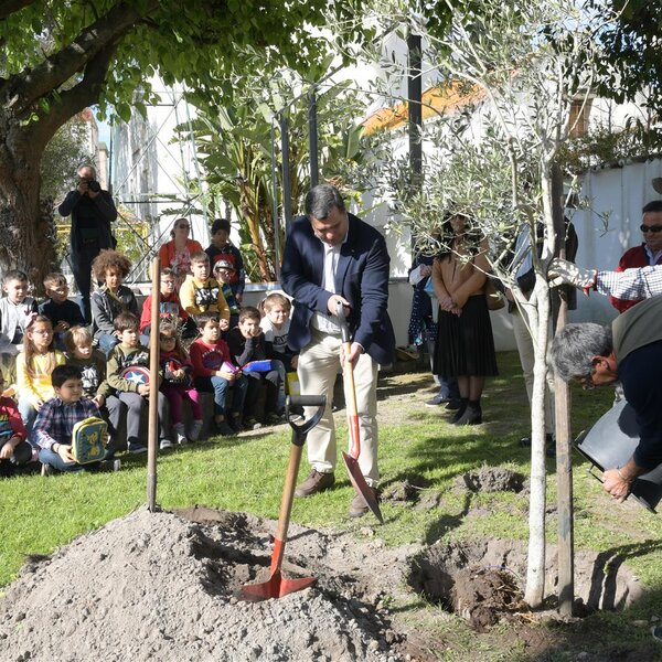 Semana Verde 2019 | Plantação de Oliveiras