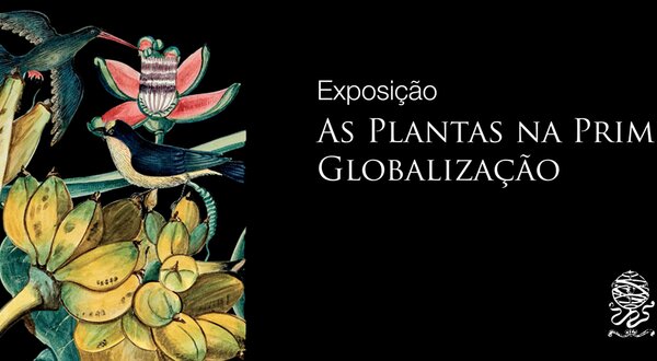 As_Plantas_na_primeira_Globaliza__o_550x1400px