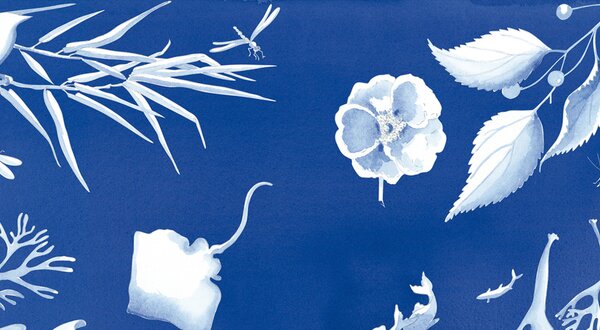 Fernanda_Fragateiro_1400x550