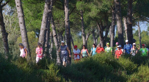 Natureza_Passeio_Pedestre_Santo_Isidro_Peg_es