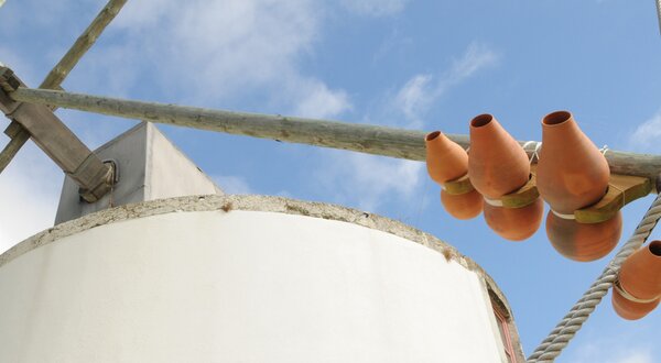 Dia_Nacional_dos_Moinhos_e_Dia_dos_Moinhos_Abertos