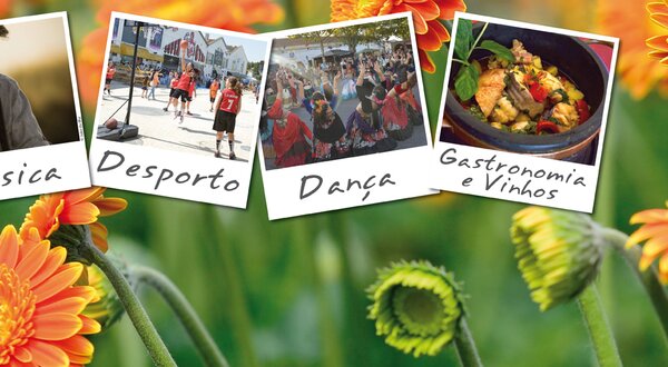 MLE_Geral_1400x550_final