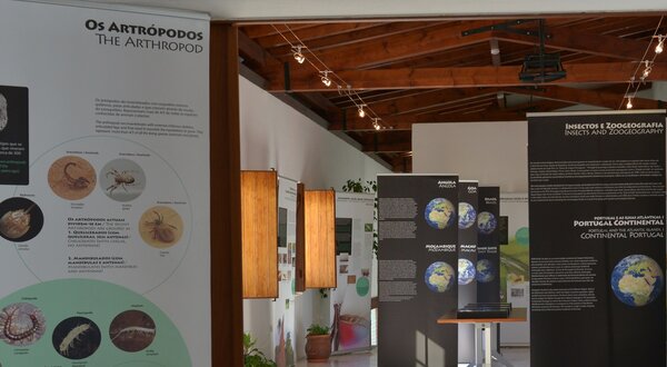 exposicao_mundo_de_insetos__2__1400x550