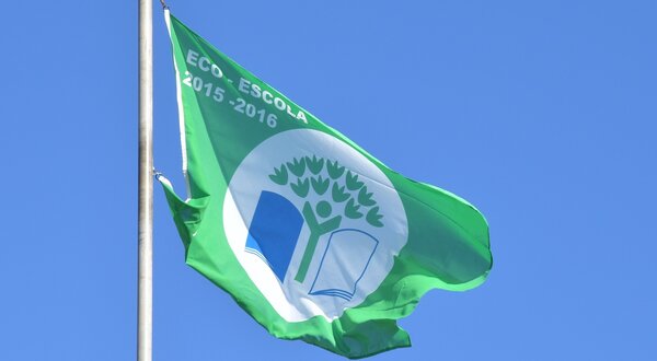 bandeira_eco