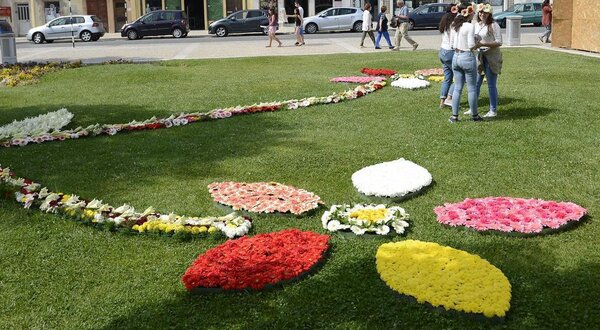 festa_da_flor__10__1400x550