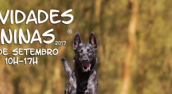 Atividades_Caninas_2017_site
