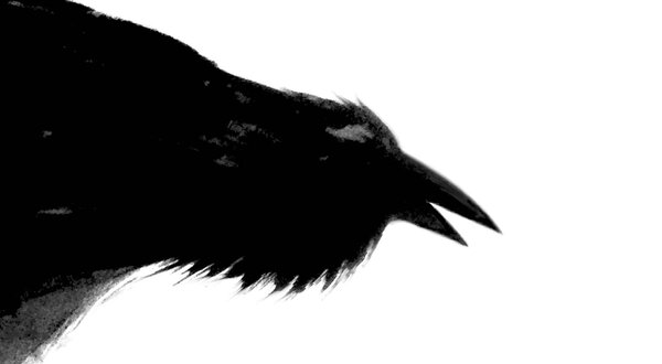 550x1400_O_CORVO__opera_de_camara