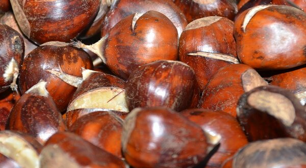 castanhas_1_1280_720