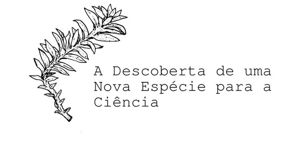 A_Descoberta_de_uma_Nova_Especie_para_a_Ciencia