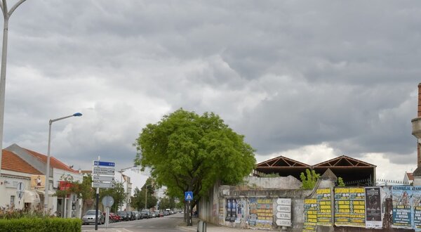 dsc_6961__large__1400x550