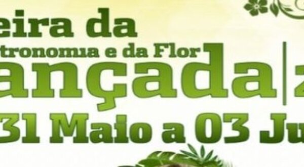 sem_titulo_1_1024_2500