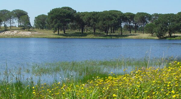 pegoes_montijo_1400x550