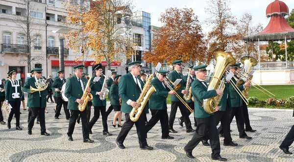 anivesario_1_dez__11_