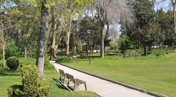 52595742_2414457895266264_4564880126260543488_n