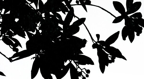 exposicao_mariana_marote_site