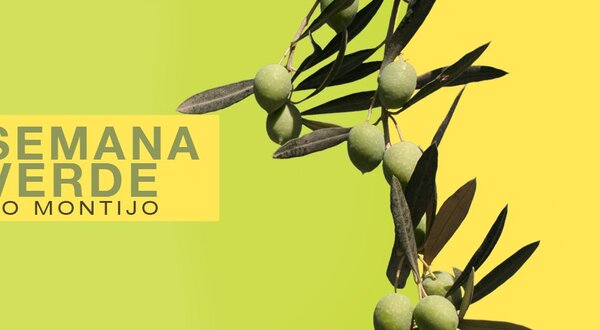 1400x550_copia_semana_verde