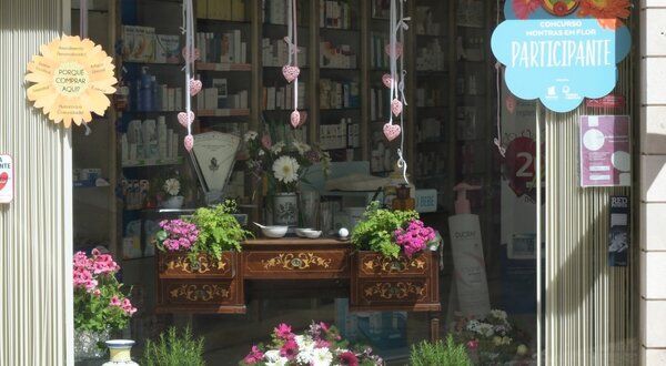 dsc_2881__large__1400x550