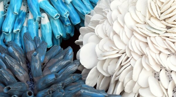 antonio_vasconcelos_lapa_1400x550