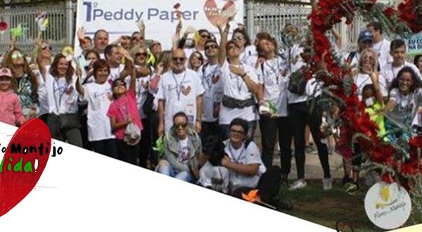 peddy_paper_baixa_do_montijo