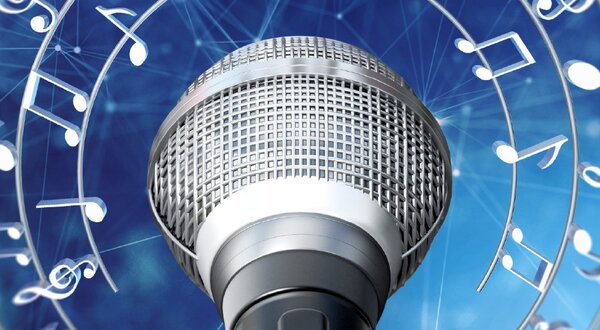 550x1400px_cantar_com_amigos_vii