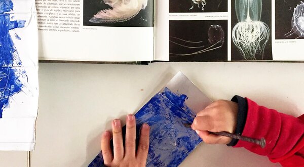 550x1400px_era_uma_vez_uma_esponja_do_mar___historias_do_inicio_da_vida