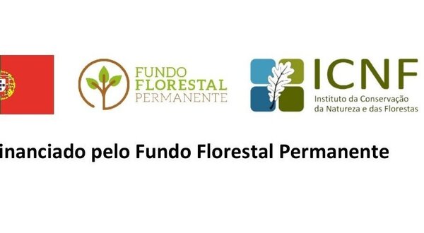 publicitacao_horizontal_1_1400x550