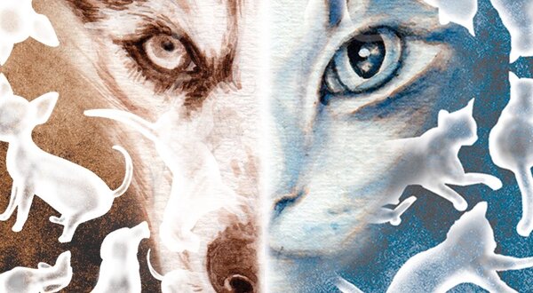 susana_resende_caes_e_gatos_1400x550