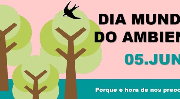 imagemdmamb2020_1500x550