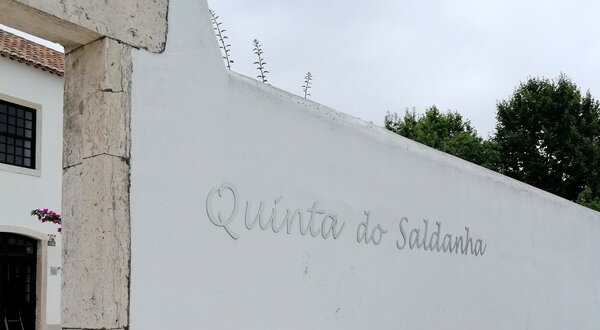 universidade_senior___quinta_do_saldanha