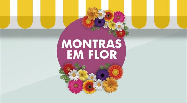 1024x500_montras_1_2500_2500