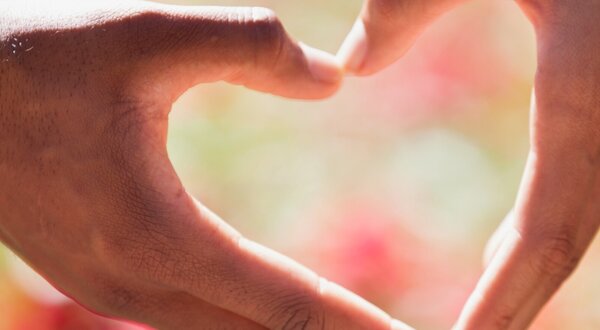 dia_mundial_do_coracao___site