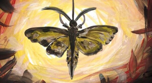 lamura_1024x350_1_2500_2500