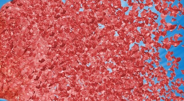 1350x350_copiar_1_2500_2500