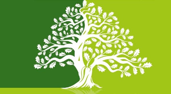 arvores_nativas_de_portugal_1024x350