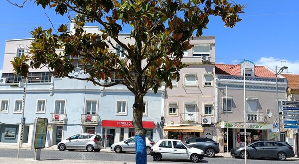 img20220527152918__1___40_