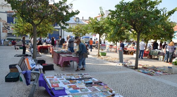 dsc_4488__large__1_2500_2500