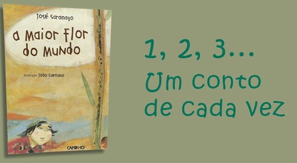a_maior_flor_do_mundo_1024x350_1_2500_2500