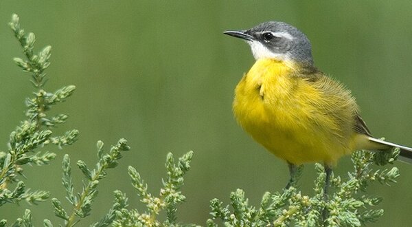 montijo_a_descoberta_da_natureza_1024x350_1_2500_2500