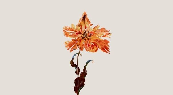 cairoutono2_1_2500_2500