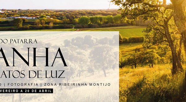 bernardo_patarra_exposicao_2024_1024x350