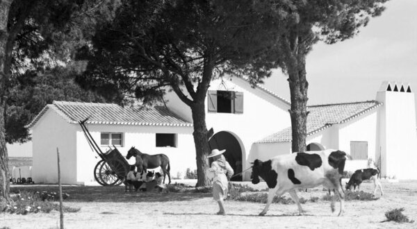 1024x350px_sto_isidro_de_pegoes